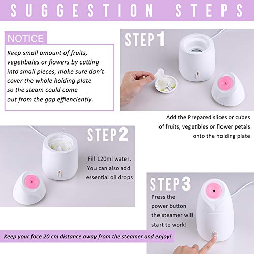 Facial steamer, GreenLife 2021 New Nano Ionic Face Steamer Milk Fruit Vegetab...