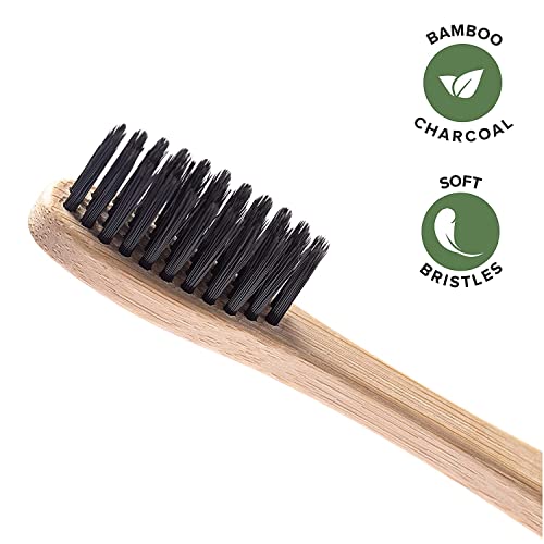 Greenzla Bamboo Toothbrushes (12 Pack) | BPA Free Soft Bristles Toothbrushes ...