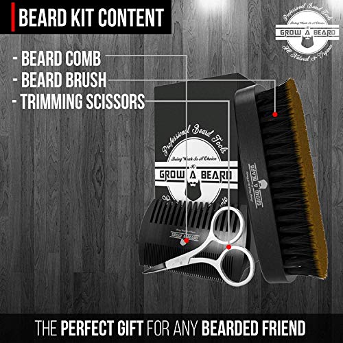 Beard Straightener Grooming Kit for Men, Beard Growth Kit, Beard Wash, Brush ...