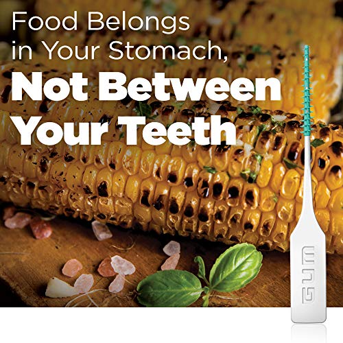 GUM - 6326RA Soft-Picks Original Dental Picks, 100 Count