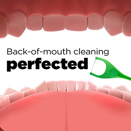 GUM - 898R4 Angled Flossers, Fresh Mint, 75 Count (Pack of 4)