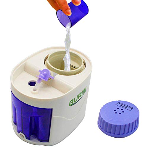 Gurin Personal Steam Inhaler Vaporizer with Aromatherapy Steamer Diffuser