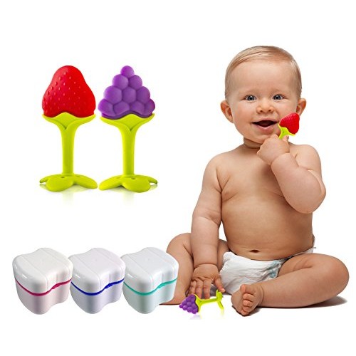 Gus Craft Lavender Purple Denture Box with Simple Retrieval Tab, Great for De...