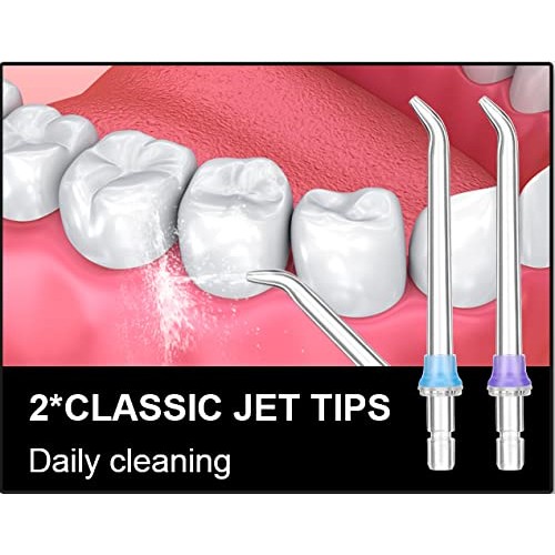 Replacement Nozzles And Cleaning Brush With Box For h2ofloss Water Flosser, 5...