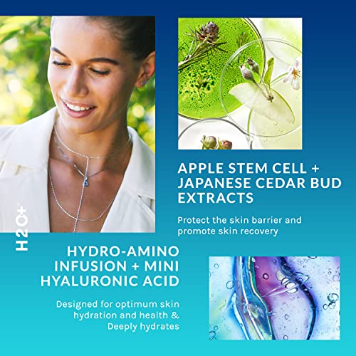 Hydration Oasis Creamy Foaming Cleanser by H2O+, Hydro-Amino Infusion, and Mi...