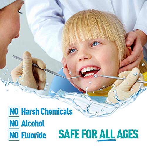 H2Ocean Arctic Ocean Mint Rinse Mouthwash, 16 Fluid Ounce with Sea Salt and X...