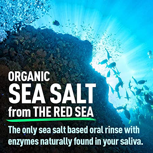 H2Ocean Arctic Ocean Mint Rinse Mouthwash, 16 Fluid Ounce with Sea Salt and X...