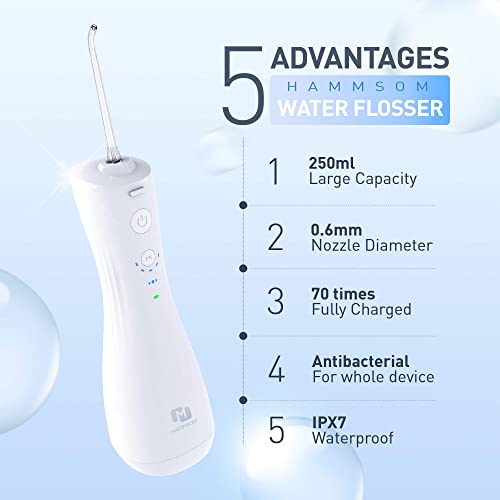 Cordless Portable Water Flosser, 6 Modes 5 Jet Tips Professional Dental Oral ...