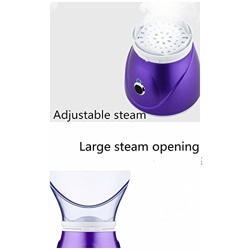 Hann Facial Steamer + Acne Removal Kit, Professional Sinus Steam Inhaler Face...