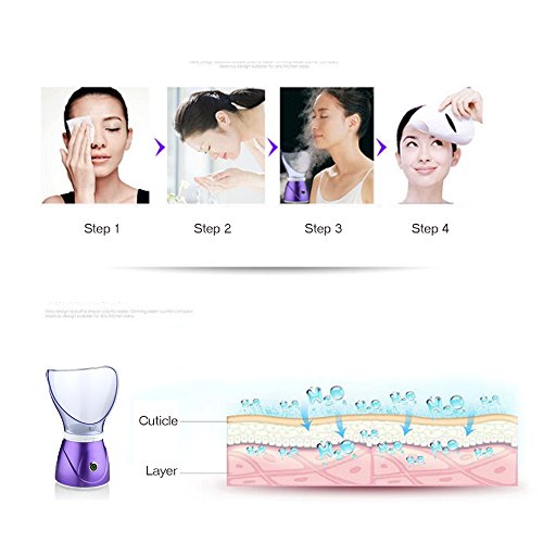 Hann Facial Steamer Professional Sinus Steam Inhaler Face Skin Moisturizer Fa...