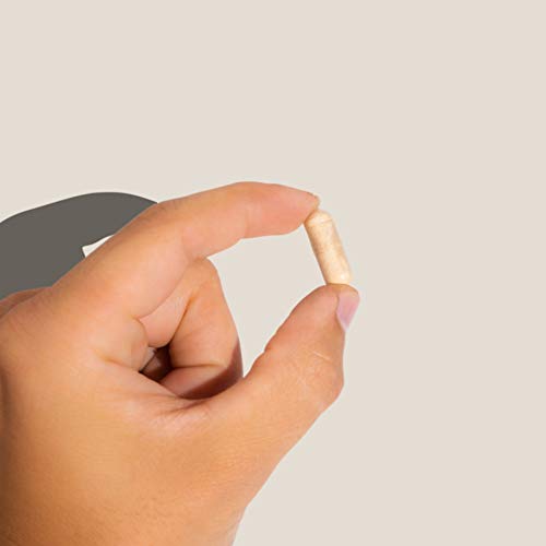 Joy-Filled | Helps Relax The Mind and Body, Boosts Mood, Relieves Tension & W...