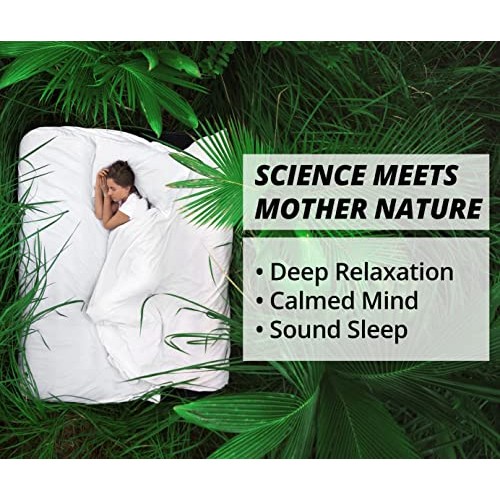 Namastay in Bed Natural Sleep Supplement – Non-Groggy, Non-Addictive, Plant-B...