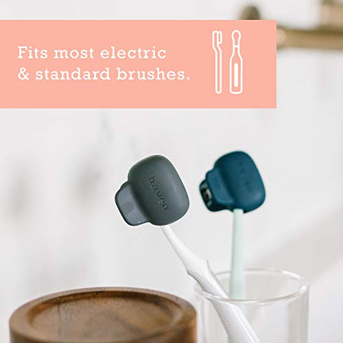 Haven Toothbrush Cover - Fits Electronic and Manual Toothbrushes - Toothbrush...