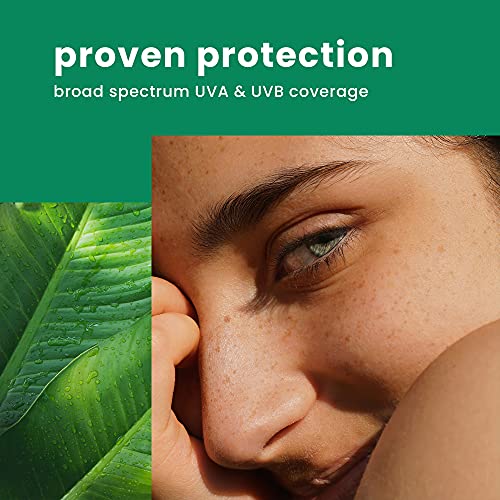 Hawaiian Tropic Silk Hydration Weightless Sunscreen Face Lotion, Broad-Spectr...