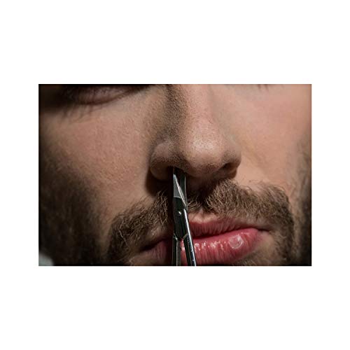 Beard Scissors, Stainless Steel Scissors for Beard, Mustache, Eyebrow, Nose H...