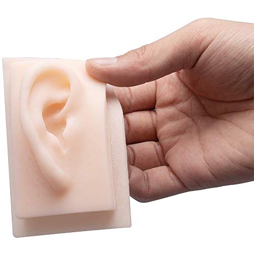 HDGRNCC 1 Pair Ear Model, Silicone Ear Model for Acupuncture - Soft Silicone ...