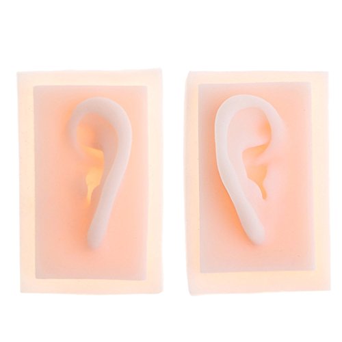 HDGRNCC 1 Pair Ear Model, Silicone Ear Model for Acupuncture - Soft Silicone ...