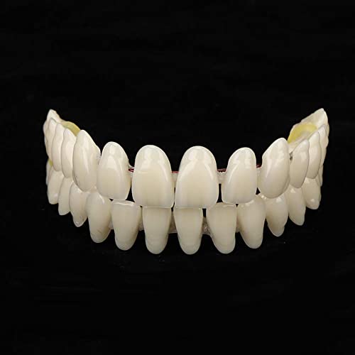 Denture Do it Yourself Full Set of Top and Bottom Fake Teeth for Improve Smile