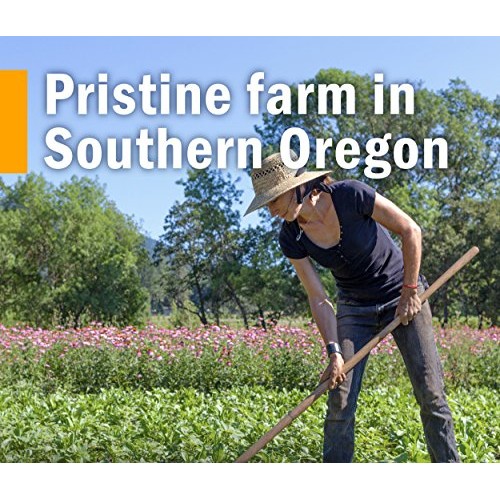 Herb Pharm Gum Guardian Herbal Mouthwash for Healthy Mouth and Gums, Organic,...