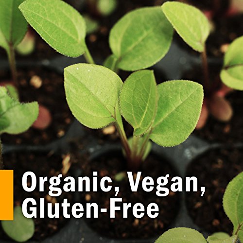 Herb Pharm Gum Guardian Herbal Mouthwash for Healthy Mouth and Gums, Organic,...