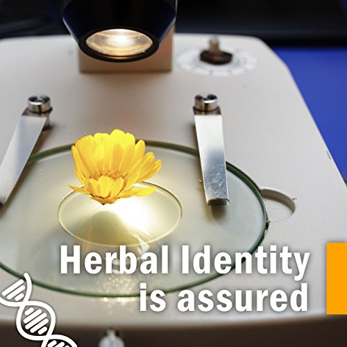 Herb Pharm Gum Guardian Herbal Mouthwash for Healthy Mouth and Gums, Organic,...