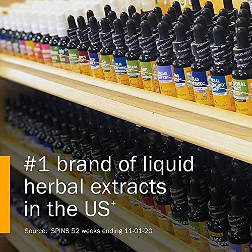 Herb Pharm Kids Mullein and Garlic Oil, 1 Fl Oz