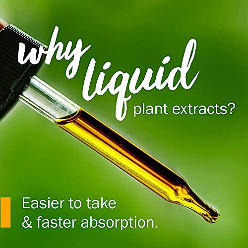 Herb Pharm Mullein Garlic Herbal Oil - 1 Ounce