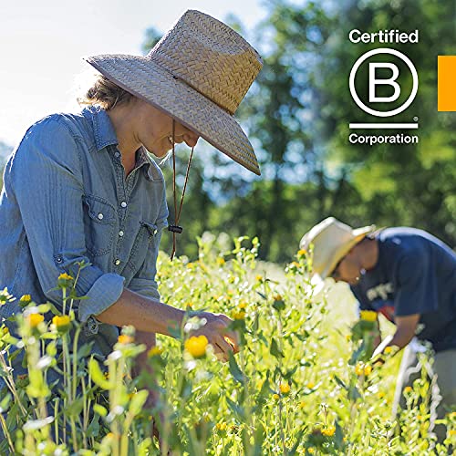 Herb Pharm Mullein Garlic Herbal Oil - 1 Ounce