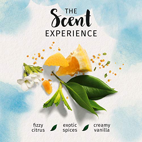 Herbal Essences Argan Oil of Morocco Shampoo and Conditioner Bundle Pack, 2 C...