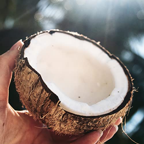 Herbal Essences Shampoo and Conditioner Set for Dry Hair with Coconut Water a...