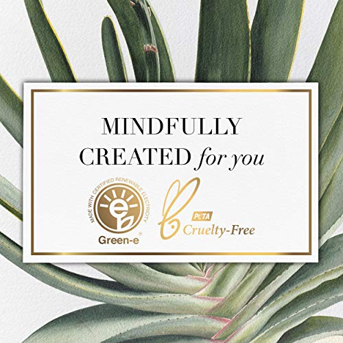 Herbal Essences Shampoo and Conditioner Set, Infused with Real Aloe and Honey...