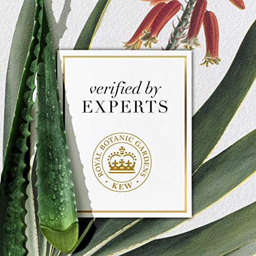 Herbal Essences Shampoo and Conditioner Set, Infused with Real Aloe and Honey...