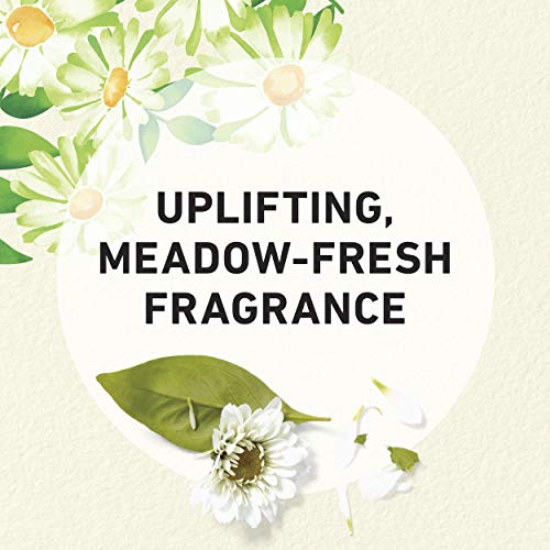 Herbal Essences Shine Collection Shampoo and Conditioner Bundle, with Chamomi...