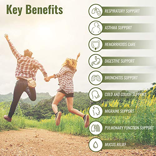 HerbaMe Mullein Leaf Capsules, 120 Count, 1000mg, Lung Care, Herbal Supplemen...