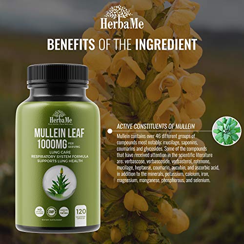 HerbaMe Mullein Leaf Capsules, 120 Count, 1000mg, Lung Care, Herbal Supplemen...
