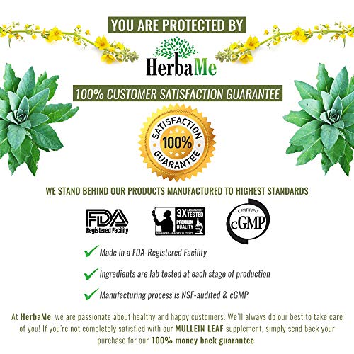 HerbaMe Mullein Leaf Capsules, 120 Count, 1000mg, Lung Care, Herbal Supplemen...