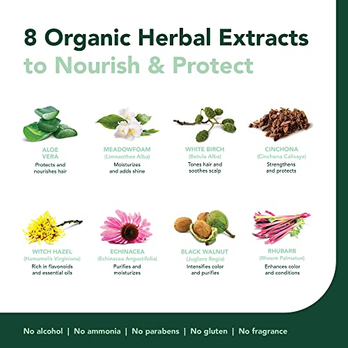 Herbatint Permanent Haircolor Gel, 10N Platinum Blonde, 4.56 Ounce