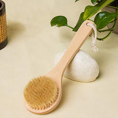 HiKin Dry Bath Body Brush Back Scrubber 9.84", Short Handle Natural Bristles ...