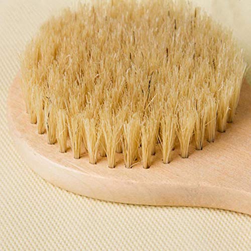 HiKin Dry Bath Body Brush Back Scrubber 9.84", Short Handle Natural Bristles ...