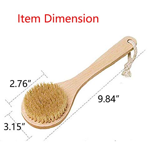 HiKin Dry Bath Body Brush Back Scrubber 9.84", Short Handle Natural Bristles ...
