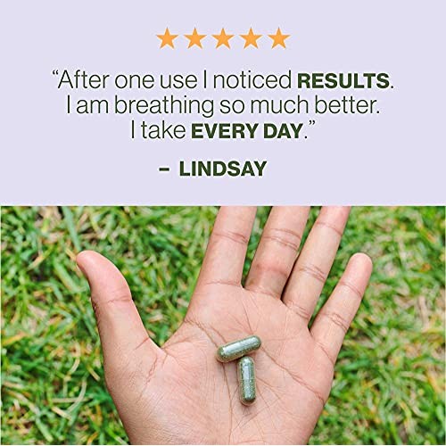 Hilma Natural Sinus Support - Allergy Relief with Butterbur, Stinging Nettles...