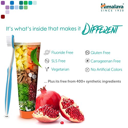 Himalaya Botanique Complete Care Toothpaste, Plaque Reducer for Brighter Teet...