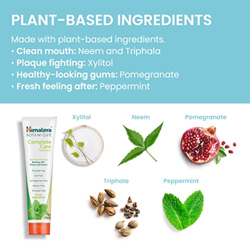 Himalaya Botanique Complete Care Toothpaste, Simply Peppermint, Plaque Reduce...