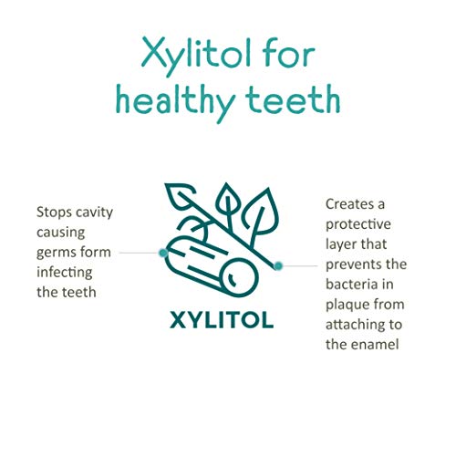 Himalaya Botanique Kids Toothpaste, Cool Mint Flavor to Reduce Plaque and Kee...