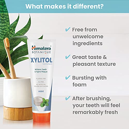 Himalaya Botanique Whitening Antiplaque Toothpaste with Xylitol for Plaque Re...