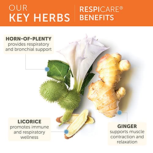 Himalaya RespiCare for Healthy Breathing and Sinus Support, 570mg, 120 Capsul...