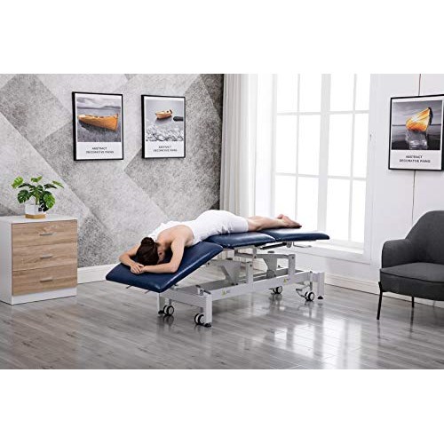 Electric Treatment Table,HomelyD Hi-Lo Adjustable，3-Section Physical Therapy...