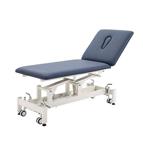 Physical Therapy Table,HomelyD Hi-Lo Adjustable 2 Section PT Treatment Table,...