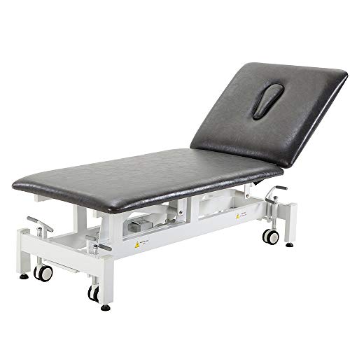 Physical Therapy Table,HomelyD Hi-Lo adjustable 2 section PT Treatment table,...