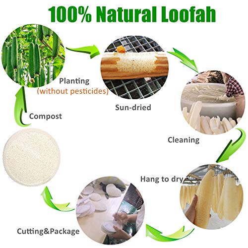 Facial Cleanser,2020 Newest Face Scrubber Natural Loofah Facial Cleansing Reu...